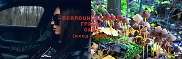СК Волосово