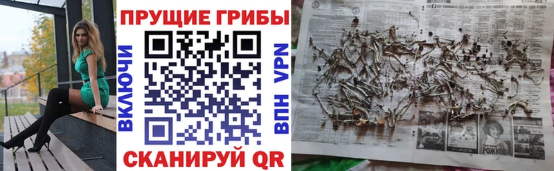 Галлюциногенные грибы Cubensis Александровское