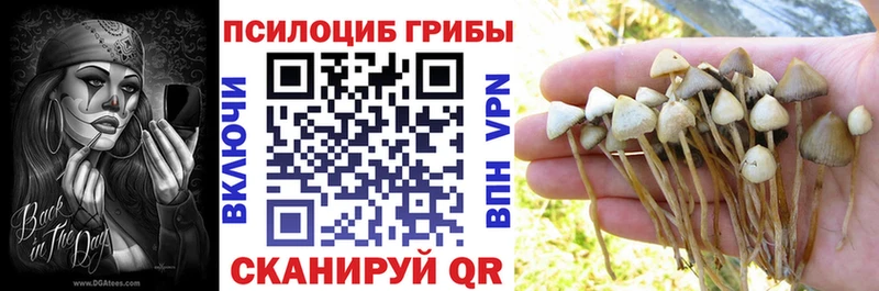 Псилоцибиновые грибы GOLDEN TEACHER  Купить где  Александровское 
