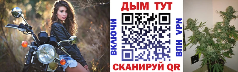 МАРИХУАНА план  Купить где  Александровское 